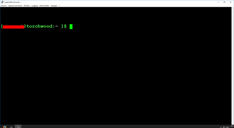 The putty terminal now opens, and you should see username@tnbtl